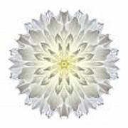 Giant White Dahlia I Flower Mandala White Art Print
