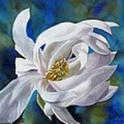 White Magnolia With Blues Art Print