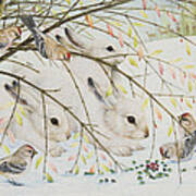 White Rabbits Art Print