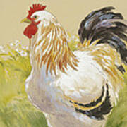 White Rooster Art Print