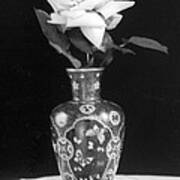 White Rose Antique Vase Art Print