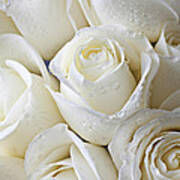 White Roses Art Print