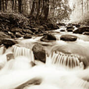 Whitewater In The Smoky Mountains Art Print