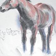 Wild Dartmoor Horse Art Print