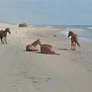 Wild Horses On The Beach Art Print
