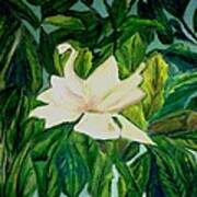 Williamsburg Magnolia Art Print