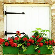 Window Box 2 Art Print