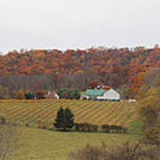 Winery In Virginia At Fall Art Print