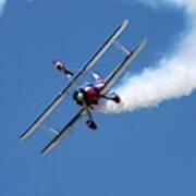 Wing-walking Display Art Print