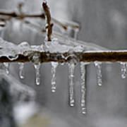 Winter - Ice Drops Art Print