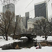 Winter In Central Park Art Print