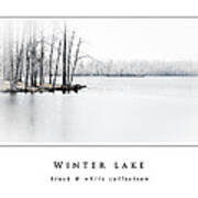 Winter Lake  Black And White Collection Art Print