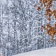 Winter Morning Snow Art Print