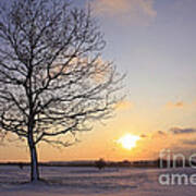 Winter Sunset Uk Art Print