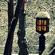 Wintered Lantern Art Print