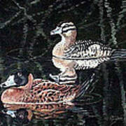 Wood Ducks Study Art Print