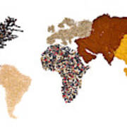 World Of Spices Art Print