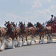 World Renown Clydesdales 2 Art Print