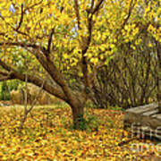 Yellow Autumn Leaves And Wooden Wagon Art Print