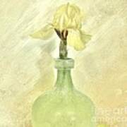 Yellow Iris In Lime Vase Art Print