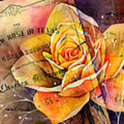 Yellow Rose Of Texas Art Print