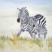 Zebra Family Art Print