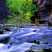 Zion Narrows Art Print