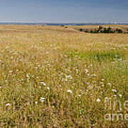 Zumwalt Prairie, Or Art Print