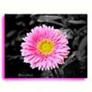 A Pink Flower Reminds Me With A Female #1 Art Print