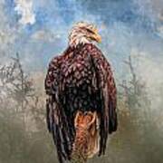 American Bald Eagle Art Print