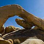 Arch In The Joshua Tree National Park #1 Art Print