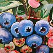 Bounteous Berries #1 Art Print