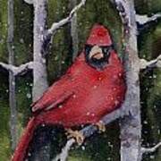 Cardinal #1 Art Print
