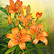 Day Lilies Art Print