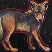 Night Coyote #1 Art Print
