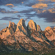Organ Mountains Near Las Cruces New Art Print