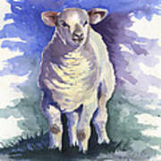 Shellies Lamb #1 Art Print