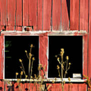 Weathered Red Barn Window Of New Jersey #1 Art Print