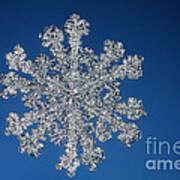 Snowflake #131 Art Print