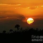 Florida Sunset #2 Art Print