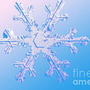 Snow Crystal #23 Art Print