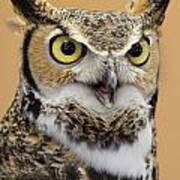 Great Horned Owl #3 Art Print