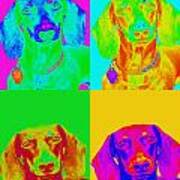 Pop Art Dachshund #4 Art Print