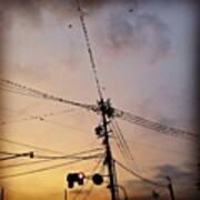 電線に鳥がとまり過ぎ！ #53 Art Print