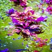 A Little Like Water Lilies - Weeds In A Art Print