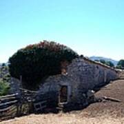 Abandoned Barn In South Italy Art Print