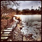 Along The Water. #centralpark #nyc Art Print