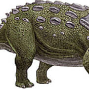 Ankylosaurus Magniventris Art Print