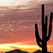 Arizona Saguaro Sunrise Art Print