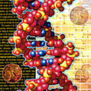 Artwork Of Foetuses And Dna Art Print